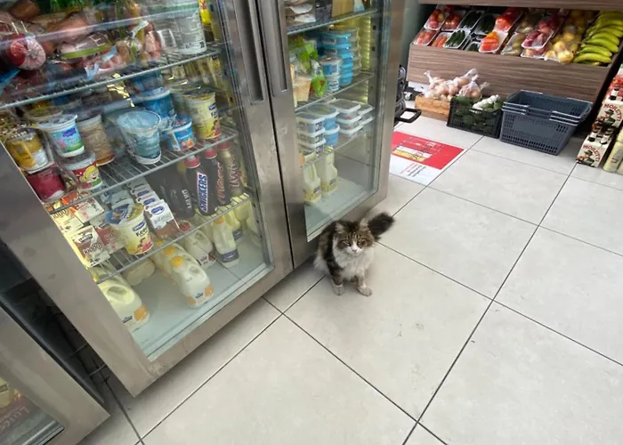 Elysia Park Grand & Wellness Up To 7 Guests