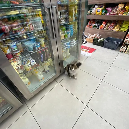 Elysia Park Grand & Wellness Up To 7 Guests